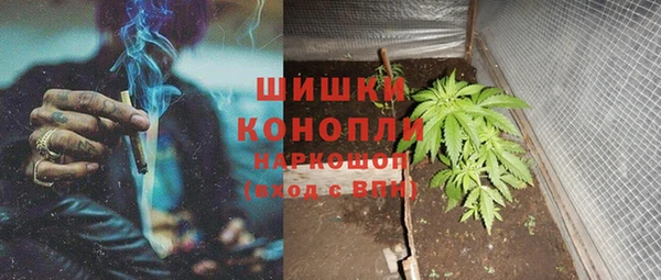 соль ск Коряжма