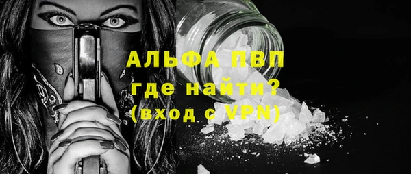 ГАЛЛЮЦИНОГЕННЫЕ ГРИБЫ Костерёво