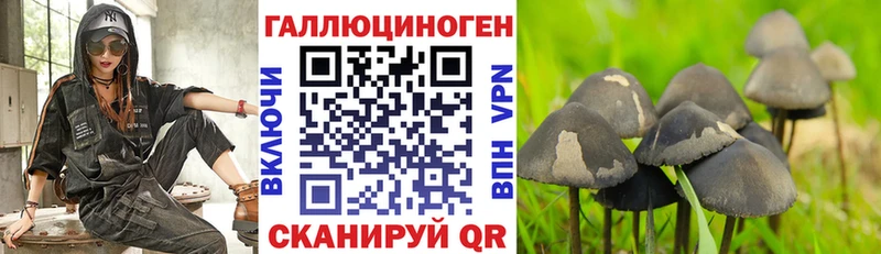 Псилоцибиновые грибы Magic Shrooms  Купить закладки  Зеленоградск 